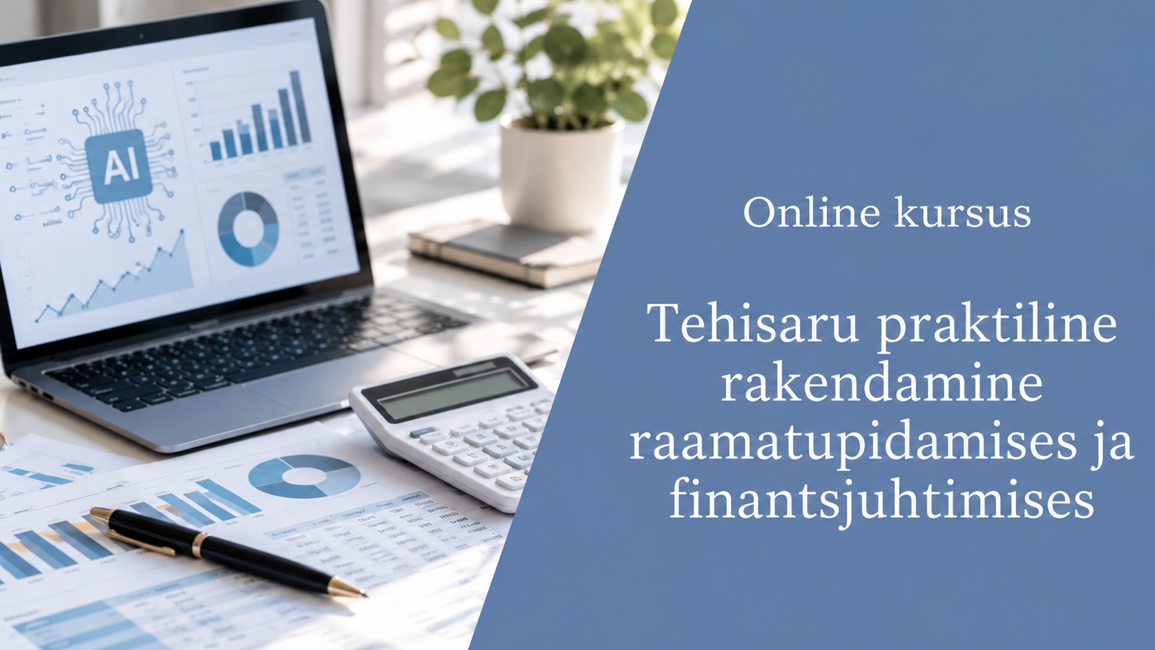 Tehisaru praktiline rakendamine raamatupidamises ja finantsjuhtimises